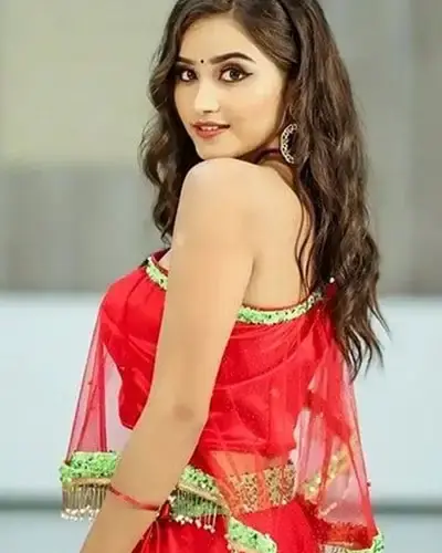 Escort In Srinivaspur